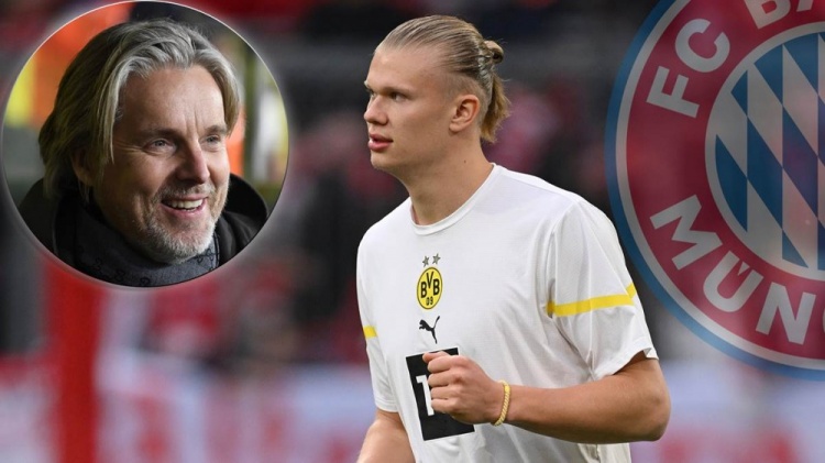 本文不做猎 本文不做猎